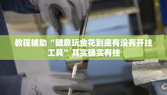 教程辅助“随意玩金花到底有没有开挂工具”其实确实有挂