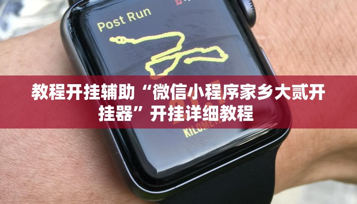 今日教程“拼三张作弊透视”其实确实有挂