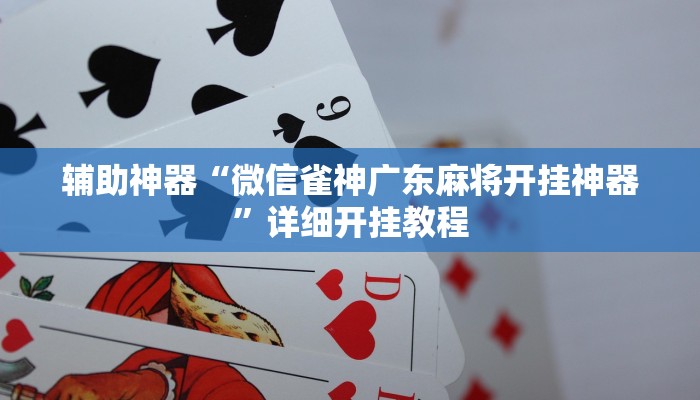 今日教程“钱塘十三水万能开挂神器”其实确实有挂