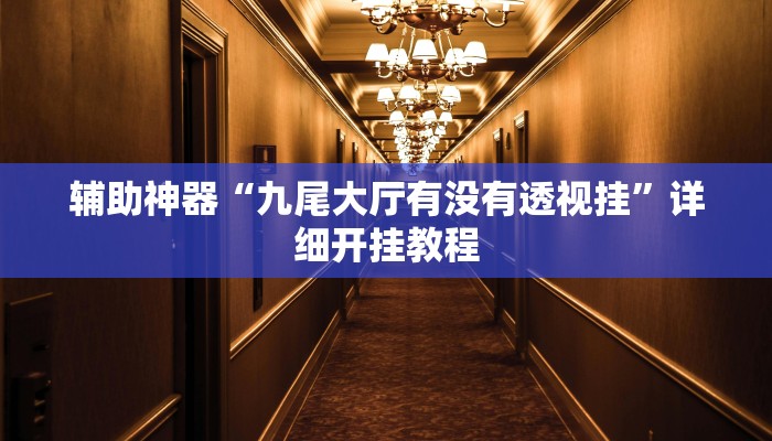 辅助神器“九尾大厅有没有透视挂”详细开挂教程