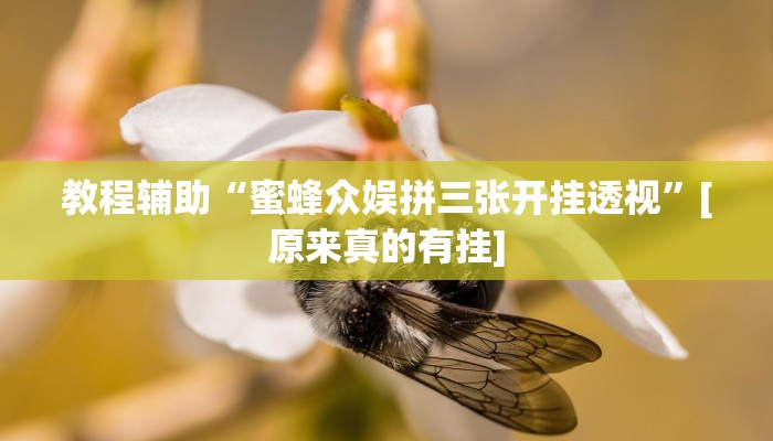 辅助神器“朱雀开心罗松可以作弊吗”(详细开挂教程)