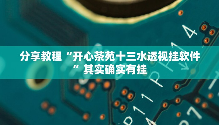 辅助神器“广西八一字牌怎么开挂”详细开挂教程