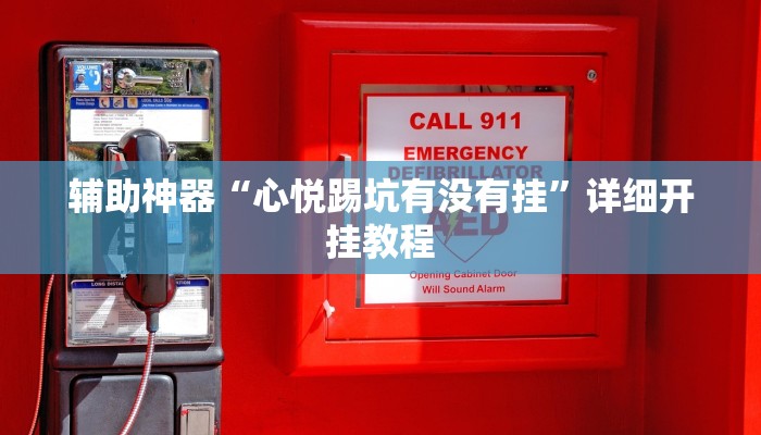 辅助神器“心悦踢坑有没有挂”详细开挂教程