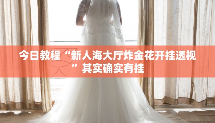 今日教程“新人海大厅炸金花开挂透视”其实确实有挂