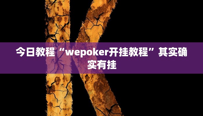 今日教程“wepoker开挂教程”其实确实有挂
