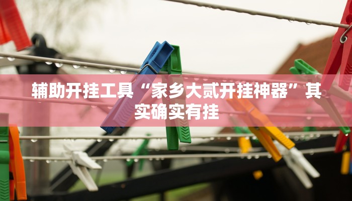 辅助开挂工具“家乡大贰开挂神器”其实确实有挂