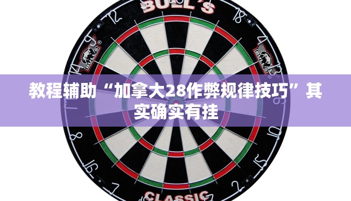 教程辅助“加拿大28作弊规律技巧”其实确实有挂