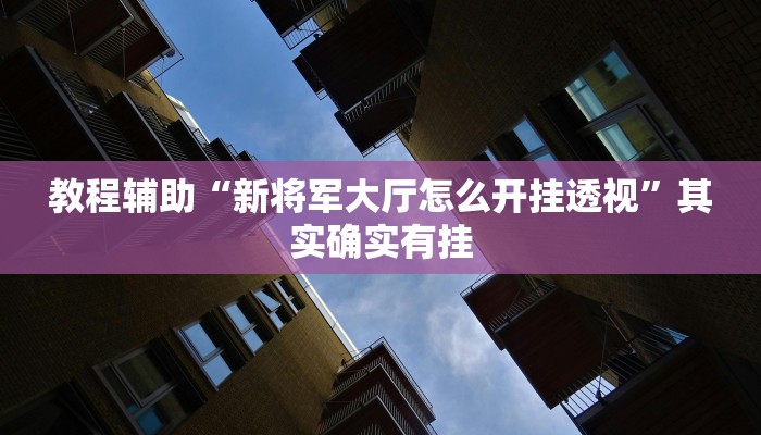教程辅助“新将军大厅怎么开挂透视”其实确实有挂