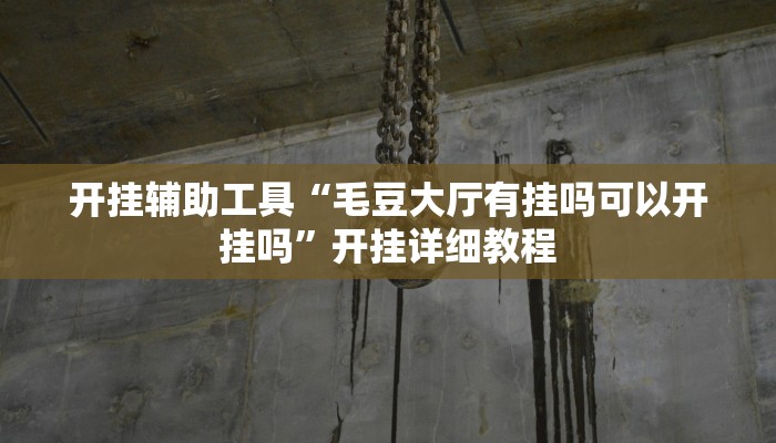 开挂辅助工具“毛豆大厅有挂吗可以开挂吗”开挂详细教程