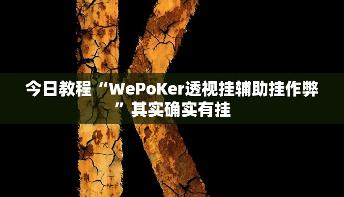 今日教程“WePoKer透视挂辅助挂作弊”其实确实有挂