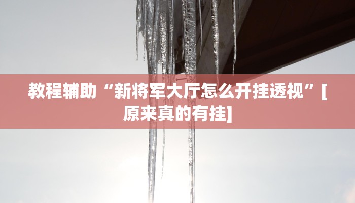 教程辅助“新人皇拼十有挂吗”其实确实有挂