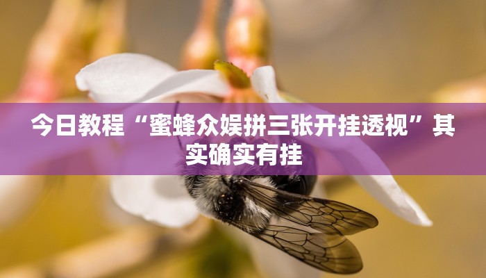 今日教程“蜜蜂众娱拼三张开挂透视”其实确实有挂