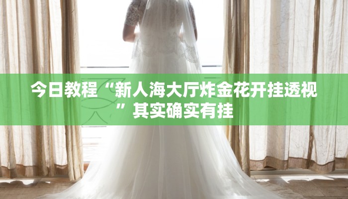 今日教程“新人海大厅炸金花开挂透视”其实确实有挂