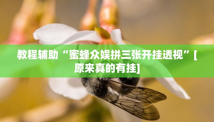 教程辅助“蜜蜂众娱拼三张开挂透视”[原来真的有挂]