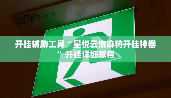 开挂辅助工具“星悦云南麻将开挂神器”开挂详细教程