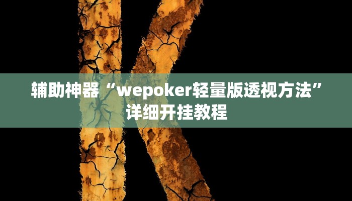 辅助神器“wepoker轻量版透视方法”详细开挂教程