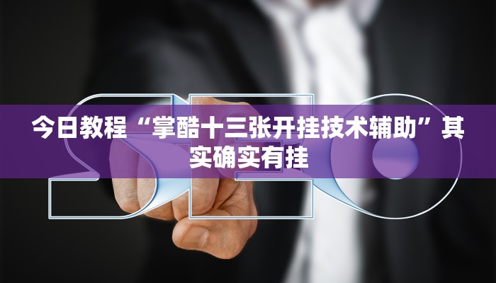 辅助神器“啊坝斗十四到底怎么开挂”详细开挂教程