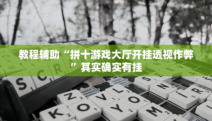 今日教程“皮皮跑胡子挂辅助”(详细开挂教程)