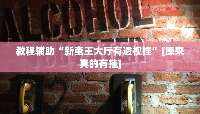 分享教程“17麻将大菠萝软件挂”开挂(透视)辅助神器