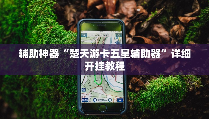 辅助神器“楚天游卡五星辅助器”详细开挂教程