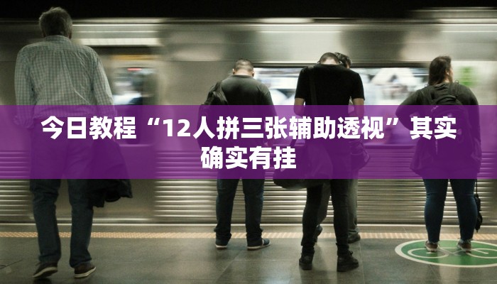 今日教程“12人拼三张辅助透视”其实确实有挂
