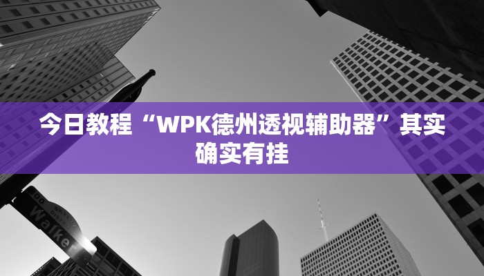 今日教程“WPK德州透视辅助器”其实确实有挂