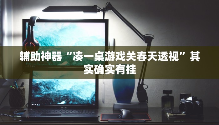 辅助神器“凑一桌游戏关春天透视”其实确实有挂