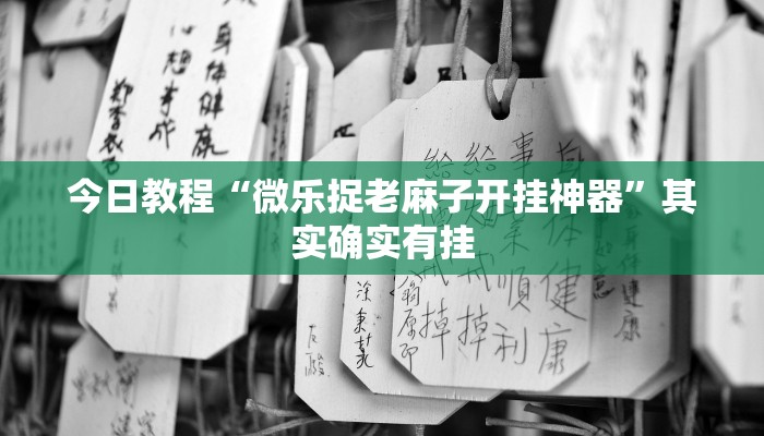 今日教程“桃子山西麻将有没有挂”其实确实有挂