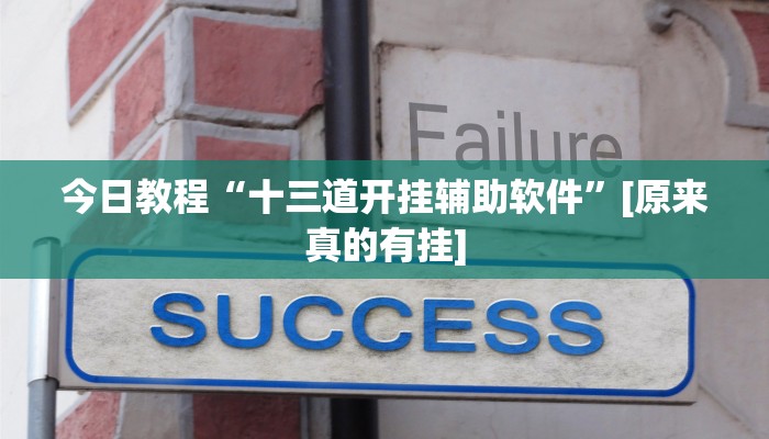 今日教程“十三道开挂辅助软件”[原来真的有挂]