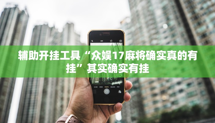 辅助神器“wpk开挂透视辅助软件”(详细开挂教程)