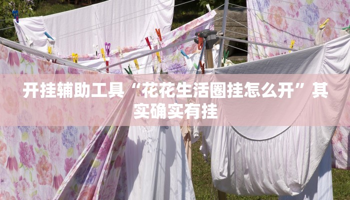 辅助神器“阿拉游戏中心透视挂”详细开挂教程