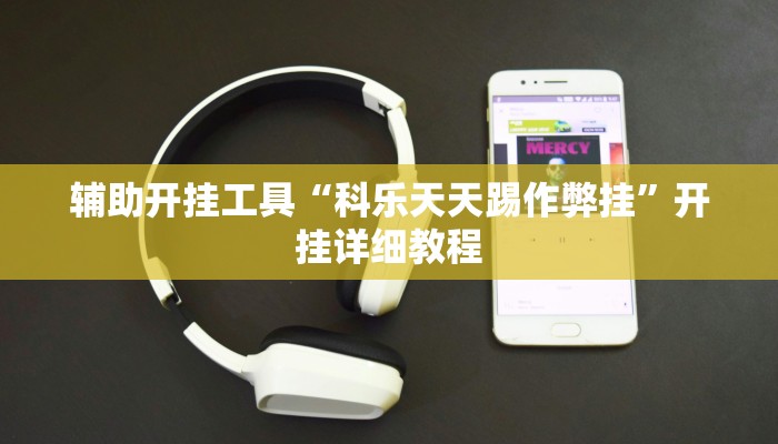 辅助开挂工具“科乐天天踢作弊挂”开挂详细教程