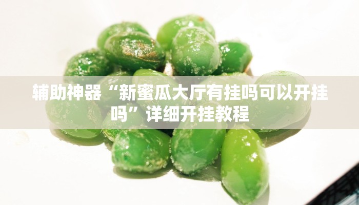 辅助神器“新蜜瓜大厅有挂吗可以开挂吗”详细开挂教程