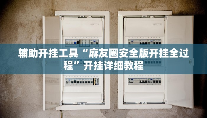 辅助开挂工具“麻友圈安全版开挂全过程”开挂详细教程