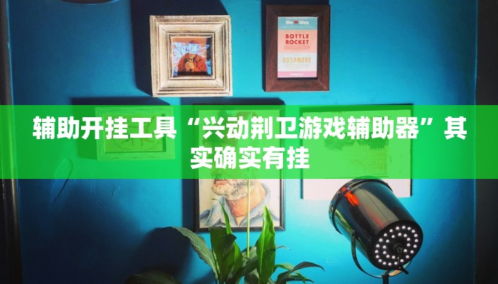辅助开挂工具“兴动荆卫游戏辅助器”其实确实有挂