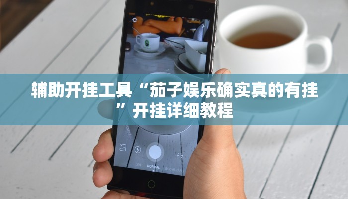 辅助开挂工具“茄子娱乐确实真的有挂”开挂详细教程