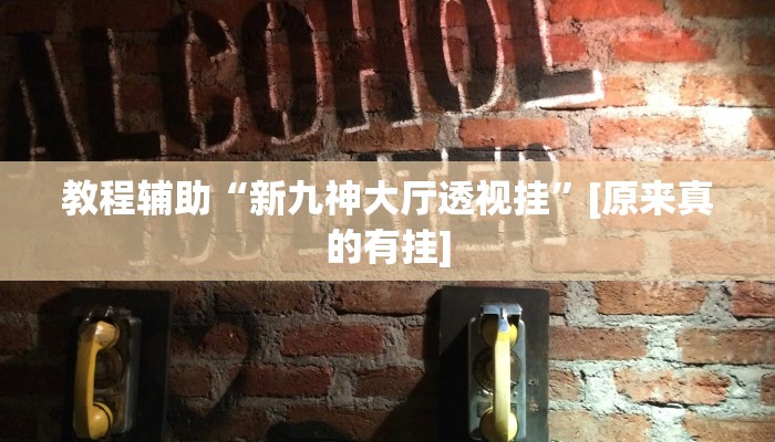 教程辅助“新九神大厅透视挂”[原来真的有挂]