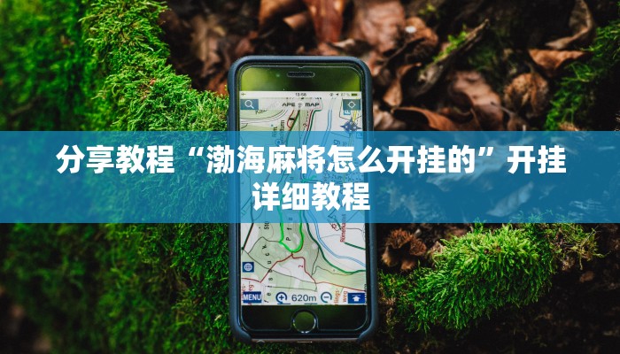 分享教程“渤海麻将怎么开挂的”开挂详细教程