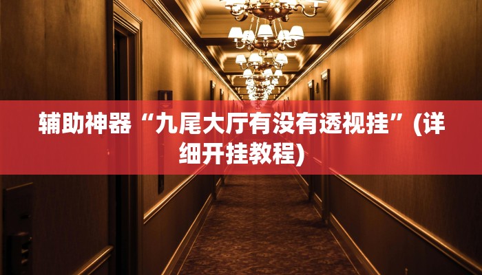 辅助神器“九尾大厅有没有透视挂”(详细开挂教程)