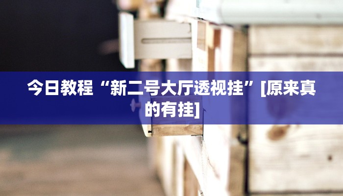今日教程“新二号大厅透视挂”[原来真的有挂]