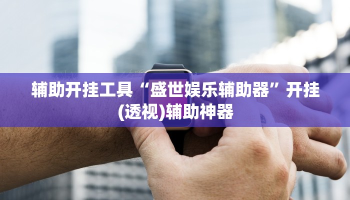 辅助开挂工具“盛世娱乐辅助器”开挂(透视)辅助神器