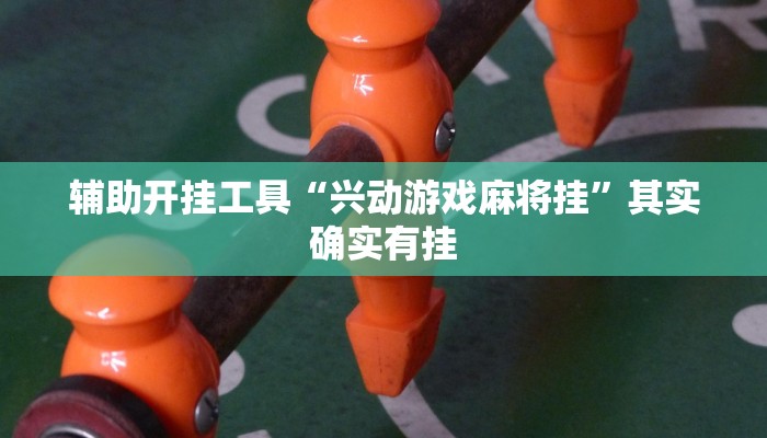 辅助神器“多乐跑得快软件开挂”[原来真的有挂]