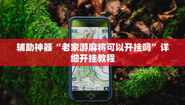 辅助神器“网易棋牌开挂神器”其实确实有挂