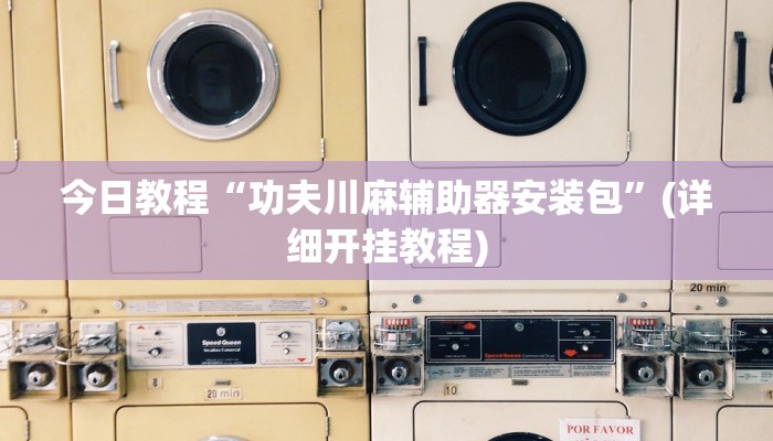 今日教程“功夫川麻辅助器安装包”(详细开挂教程)