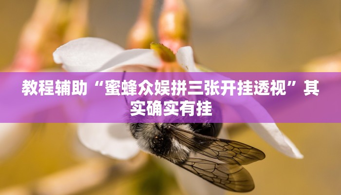 教程辅助“蜜蜂众娱拼三张开挂透视”其实确实有挂