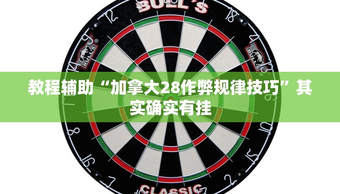 教程辅助“加拿大28作弊规律技巧”其实确实有挂