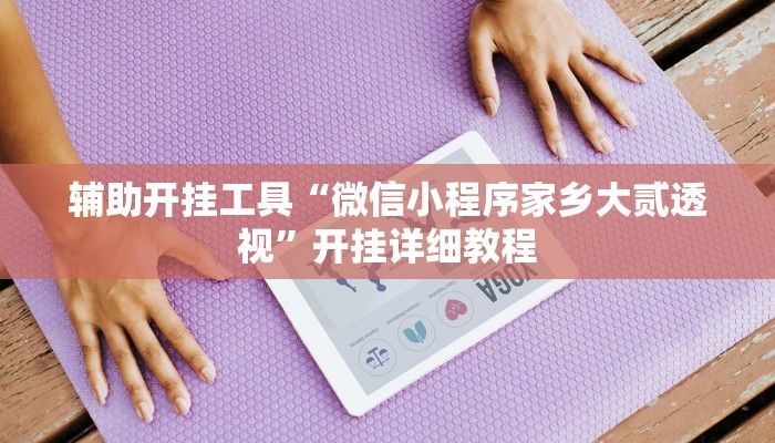 辅助神器“wepoker德州开挂辅助”详细开挂教程