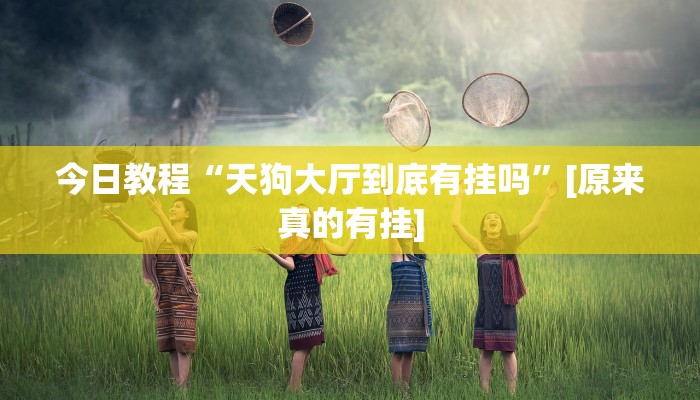 今日教程“天狗大厅到底有挂吗”[原来真的有挂]