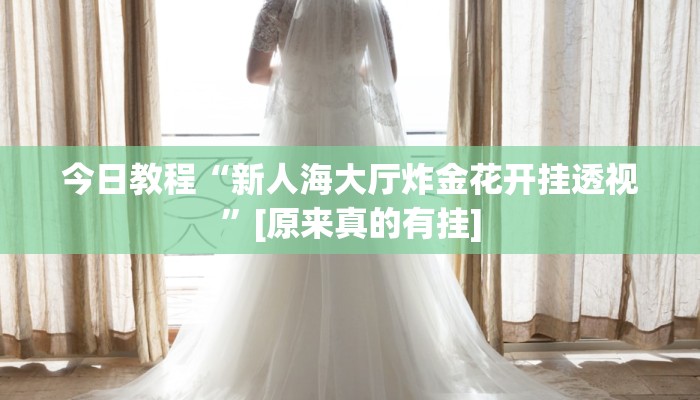今日教程“新人海大厅炸金花开挂透视”[原来真的有挂]