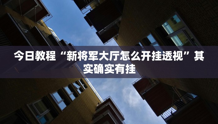 今日教程“新将军大厅怎么开挂透视”其实确实有挂